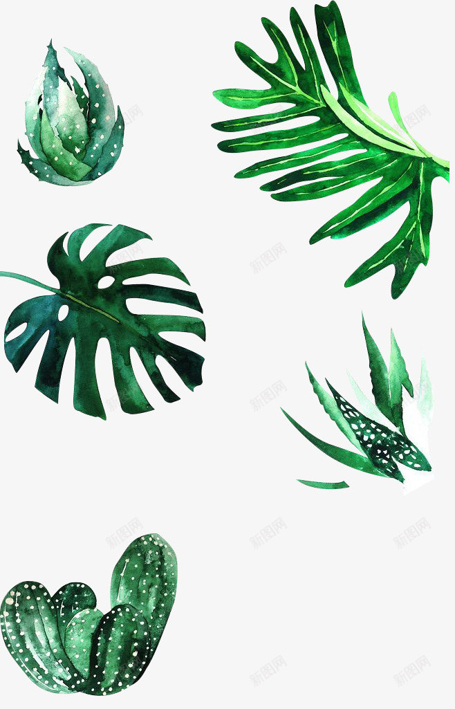 v2WptSfw658植物手绘png免抠素材_新图网 https://ixintu.com 植物 手绘