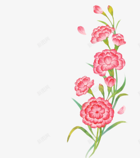 康乃馨母亲节感恩节51插画母亲节父亲教师节png免抠素材_新图网 https://ixintu.com 母亲节 康乃馨 感恩节 插画 父亲 教师节