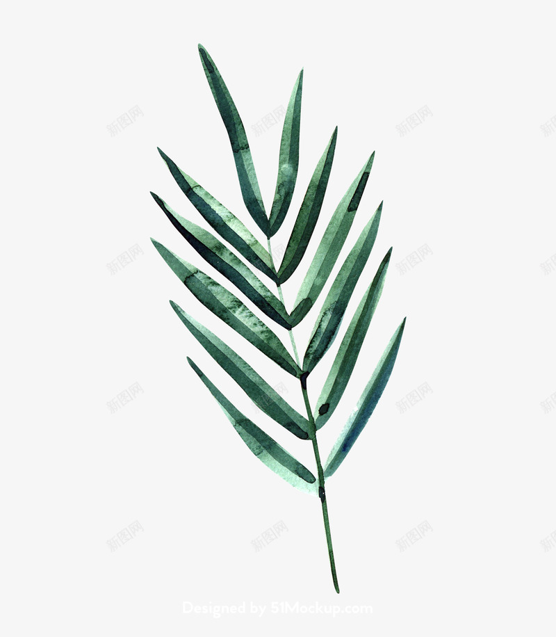 水彩树叶花瓣超免扣插图4花卉植物免扣去底透明水彩奥美Linda花卉免扣要账号看简介png免抠素材_新图网 https://ixintu.com 花卉 水彩 账号 免扣 奥美 透明 扣去 树叶 植物 插图 超免