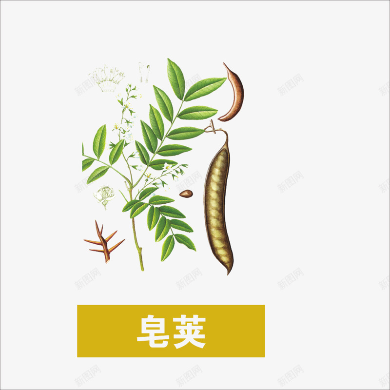 餐饮蔬菜调味料png免抠素材_新图网 https://ixintu.com 餐饮 蔬菜 调味料