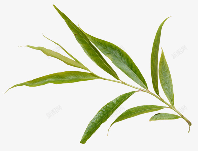 Sourcepng免抠素材_新图网 https://ixintu.com