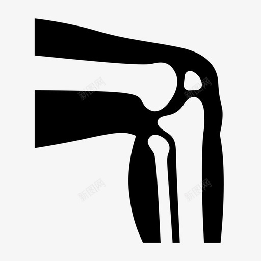 膝关节骨医学svg_新图网 https://ixintu.com 膝关节 医学专家