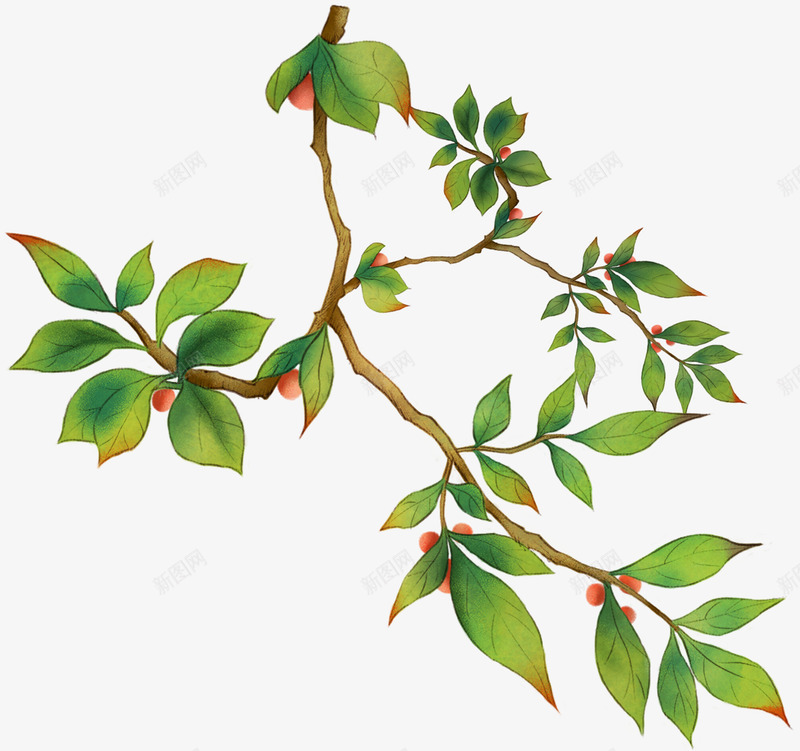 99X58PICEY8hdCW8NIcDSPIC2018水果花卉绿植png免抠素材_新图网 https://ixintu.com 水果 花卉 绿植