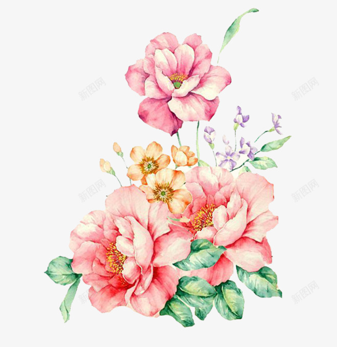 UiiGHPfw658S花花草草png免抠素材_新图网 https://ixintu.com 花花草草