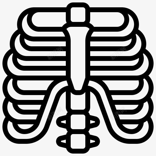 胸骨肋骨svg_新图网 https://ixintu.com 人体 器官 肋骨 胸骨 脊椎动物 骨骼