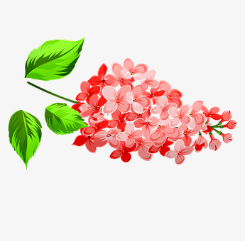粉红色的花 红色 花的 浪漫 爱 花园 春 植物 自然 盛开单品png免抠素材_新图网 https://ixintu.com 粉红色 花红 红色 花的 浪漫 花园 植物 自然 盛开 开单