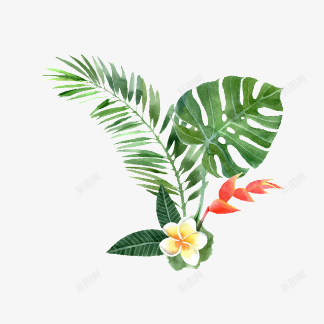 手绘彩绘植物绿叶花朵北坤人 植物花草png免抠素材_新图网 https://ixintu.com 坤人 彩绘 手绘 植物 灬北 绿叶 花朵 花草