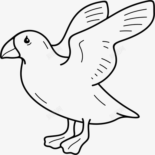 大西洋海雀鸟类北美svg_新图网 https://ixintu.com 大西洋海 鸟类 北美 北大西洋 美国