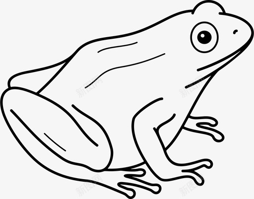 木蛙纽约小动物svg_新图网 https://ixintu.com 木蛙 动物 纽约 小两 两栖