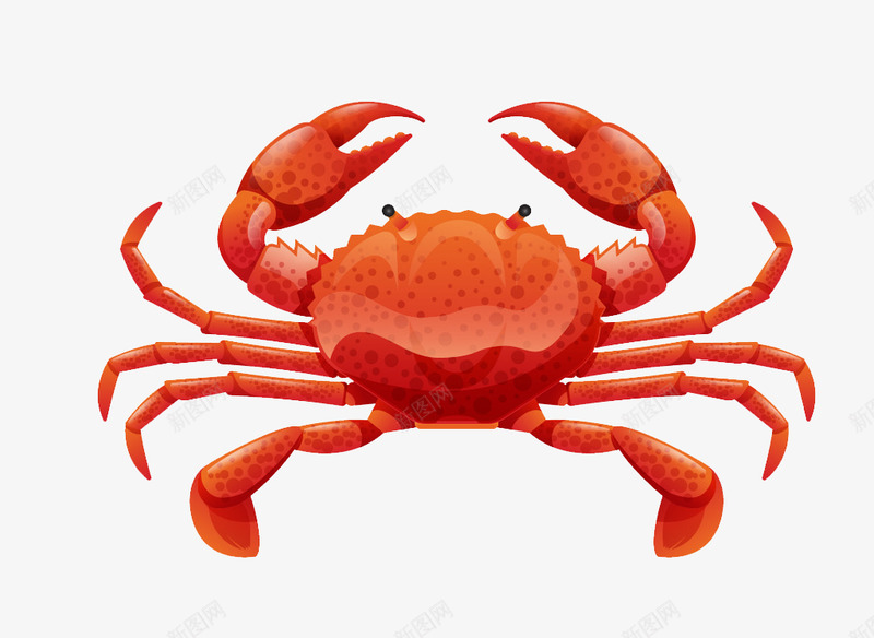 插画画png免抠素材_新图网 https://ixintu.com 插画 画画