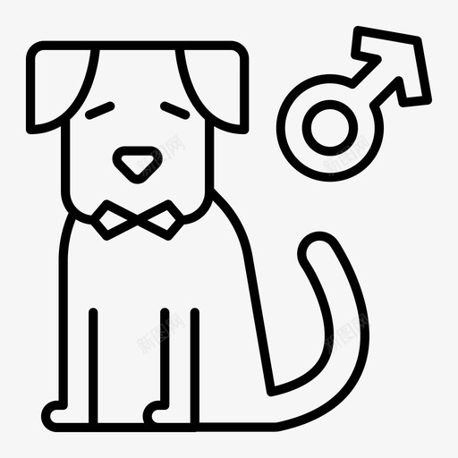 公狗动物猫svg_新图网 https://ixintu.com 公狗 宠物 动物 商店
