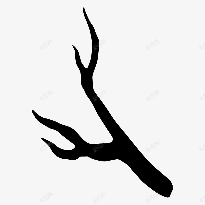 Branches插画png免抠素材_新图网 https://ixintu.com 插画