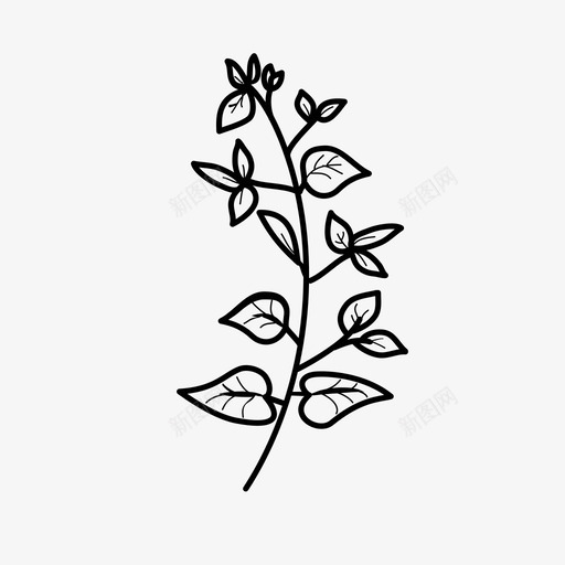 三角梅美丽花svg_新图网 https://ixintu.com 三角 美丽 花花 自然 植物