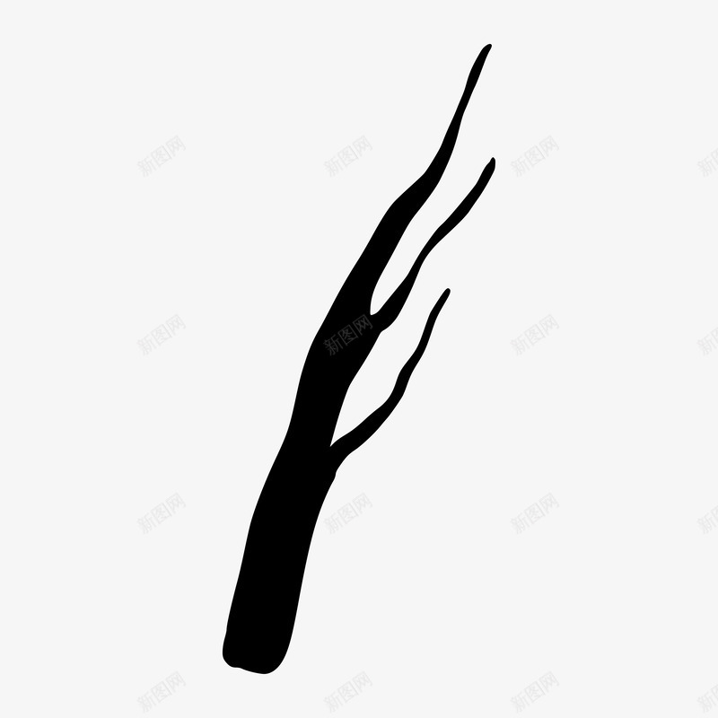 Branches插画png免抠素材_新图网 https://ixintu.com 插画