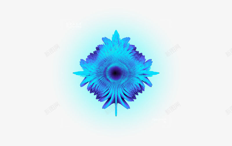 Space Flowers Enjoy视觉酷png免抠素材_新图网 https://ixintu.com 视觉