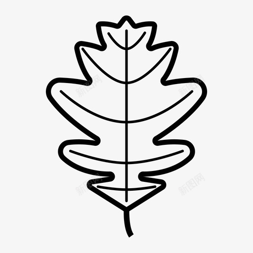 叶子秋天橡树svg_新图网 https://ixintu.com 秋天 叶子 橡树 季节