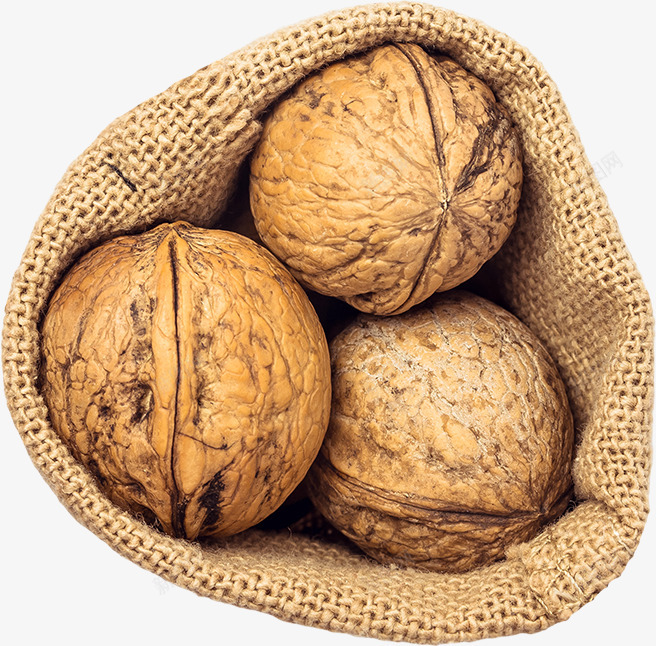 05Walnuts Bag食物水果png免抠素材_新图网 https://ixintu.com 食物 水果