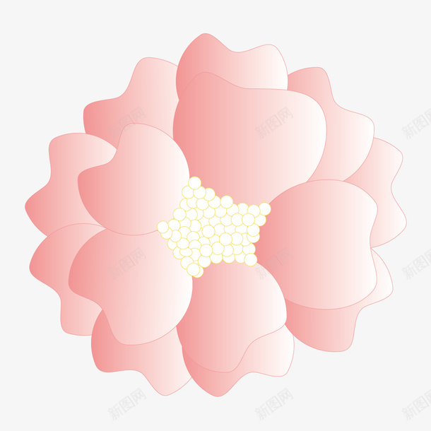 粉色的大花鲜花ai免抠素材_新图网 https://ixintu.com 粉色 大花 鲜花 透明背景