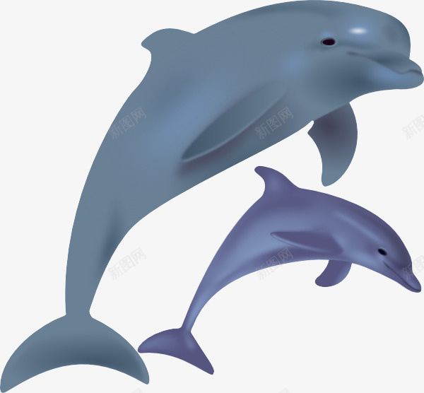 海底世界海底世界海洋馆海洋世界海底png免抠素材_新图网 https://ixintu.com 海底世界 海洋馆 海洋世界 海底 海洋 水族馆 卡通海洋 卡通海底 海底总动员 海豚 海底背景 海洋背景 美人鱼 水族世界 海洋生物 3D海底世界 3D海洋 海底生物 海底潜水 海底珊瑚 海底鱼类 海