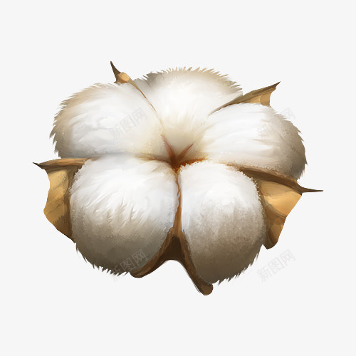 棉花手绘单独插画png免抠素材_新图网 https://ixintu.com 棉花 手绘 单独 插画
