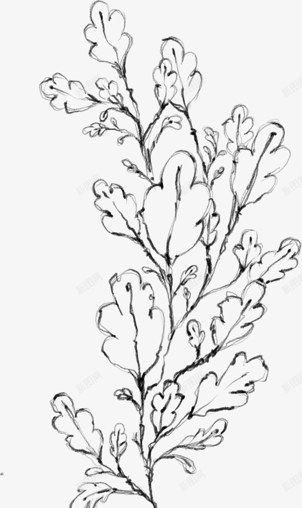 水墨植物元素15png免抠素材_新图网 https://ixintu.com 万物复苏 中国风 传统风景画 卡通 古典 古风 古风中国风花朵 叶子 手绘鲜花 文艺 时尚创意花朵 春天 春天中国风 杨柳 水墨 水墨山水画 水彩 水彩花朵 清新 花朵 花瓣 踏春水墨花 飘逸 鲜花