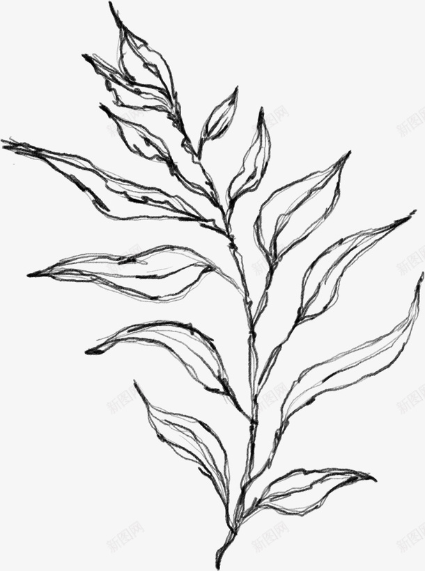 水墨植物元素08png免抠素材_新图网 https://ixintu.com 万物复苏 中国风 卡通 古典 古风 古风中国风花朵 叶子 手绘鲜花 文艺 时尚创意花朵 春天 春天中国风 杨柳 水墨 水墨山水画 水彩 水彩花朵 清新 花朵 花瓣 踏春水墨花 飘逸 鲜花