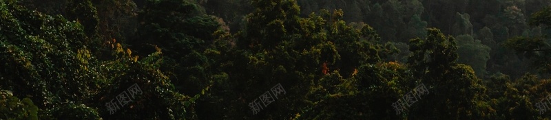 高清风景背景jpg设计背景_新图网 https://ixintu.com 高清 风景 背景 山林
