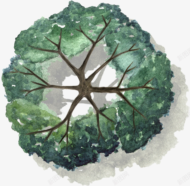 深绿色树干叶子水彩风手绘带投影png免抠素材_新图网 https://ixintu.com 深绿色 树干 叶子 水彩风 手绘