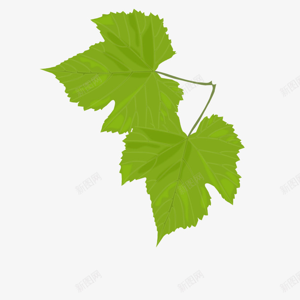 手绘绿色枫叶植物元素psd免抠素材_新图网 https://ixintu.com 手绘 树叶 绿叶 树