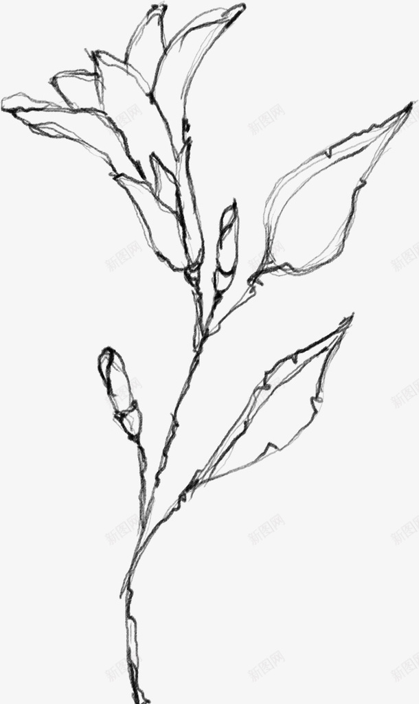 水墨植物元素23png免抠素材_新图网 https://ixintu.com 万物复苏 中国风 卡通 古典 古风 古风中国风花朵 叶子 手绘鲜花 文艺 时尚创意花朵 春天 春天中国风 杨柳 水墨 水墨山水画 水彩 水彩花朵 清新 花朵 花瓣 踏春水墨花 飘逸 鲜花