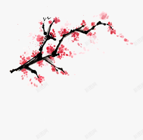 精美中国风水彩写意梅花插画png免抠素材_新图网 https://ixintu.com 中国风 水彩画 水墨画 红梅 斜枝 花瓣