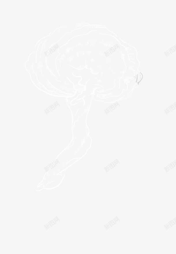 灵芝线描矢量图png免抠素材_新图网 https://ixintu.com 灵芝 矢量图 名贵药材 土特产