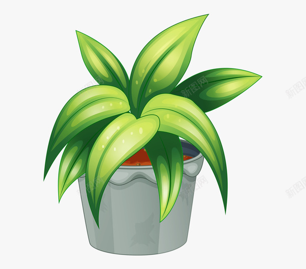 矢量绿植盆栽插画素材png免抠素材_新图网 https://ixintu.com 植物 盆栽 绿叶 绿植 虎尾兰 虎皮兰