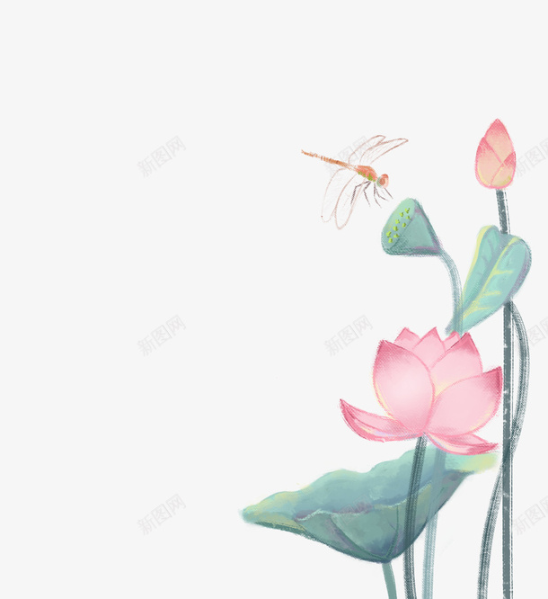 中国风手绘荷叶荷花蜻蜓png免抠素材_新图网 https://ixintu.com 中国风 手绘 荷叶 荷花 荷包 蜻蜓