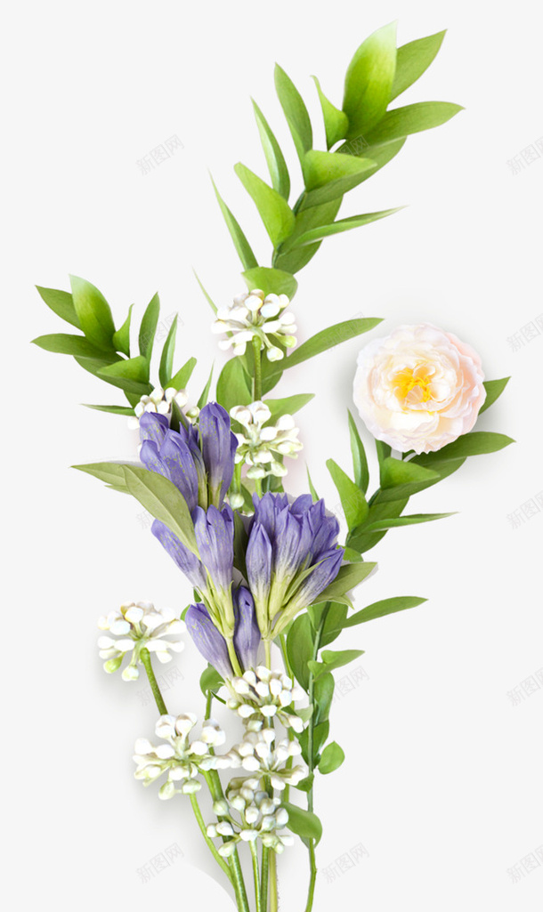 手绘紫色白色花束png免抠素材_新图网 https://ixintu.com 简约 大气 绿色 白色 花束