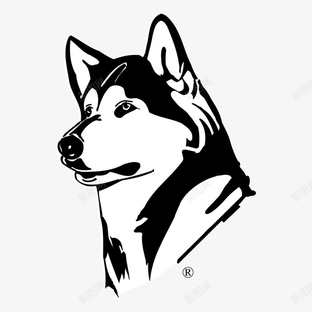 家畜生物动物贵宾犬贵宾狗png免抠素材_新图网 https://ixintu.com 家畜 生物 动物 贵宾犬 贵宾狗 玩具狗 毛小孩 宠物