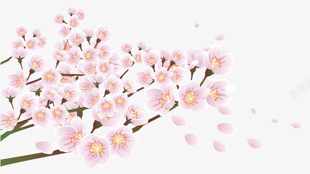 春天春分粉色花朵樱花树枝eps免抠素材_新图网 https://ixintu.com 春分 春天装饰元素 粉色花朵 樱花 树枝 花朵树枝