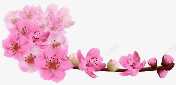 春天粉色桃花樱花矢量eps免抠素材_新图网 https://ixintu.com 春天花朵 桃花 樱花 桃花树枝 樱花树枝 粉色花朵 植物