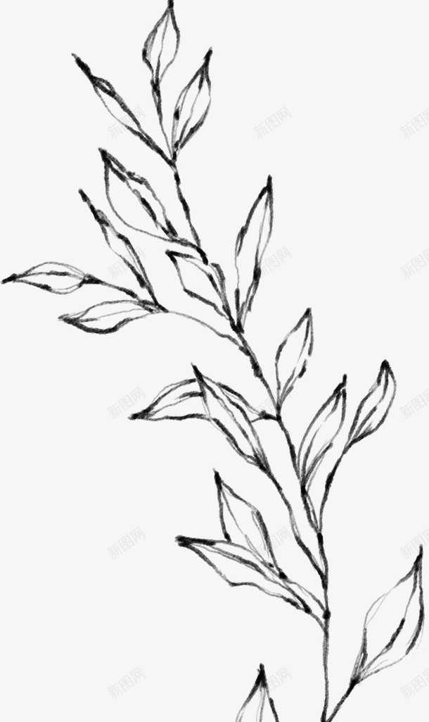 植物元素啊2png免抠素材_新图网 https://ixintu.com 万物复苏 中国风 卡通 古典 古风 古风中国风花朵 叶子 手绘鲜花 文艺 时尚创意花朵 春天 春天中国风 杨柳 水墨 水墨山水画 水彩 水彩花朵 清新 花朵 花瓣 踏春水墨花 飘逸 鲜花