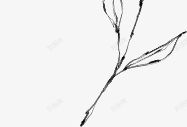 植物元素啊2png免抠素材_新图网 https://ixintu.com 万物复苏 中国风 卡通 古典 古风 古风中国风花朵 叶子 手绘鲜花 文艺 时尚创意花朵 春天 春天中国风 杨柳 水墨 水墨山水画 水彩 水彩花朵 清新 花朵 花瓣 踏春水墨花 飘逸 鲜花