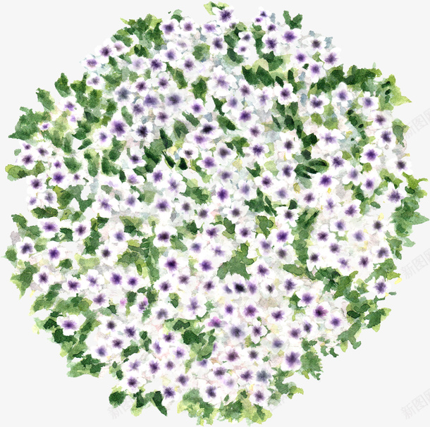 平面图紫花花灌木树木图标png免抠素材_新图网 https://ixintu.com 紫花 白花 景观 植物 树木