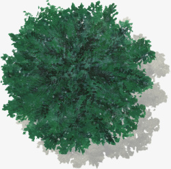 深绿色树叶灌木水彩风手绘带投影素材