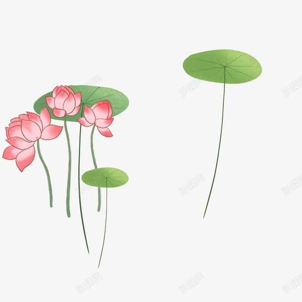 荷花绿叶素材psd免抠素材_新图网 https://ixintu.com 竹子荷花荷叶满池塘 红花 绿叶 荷叶 荷花