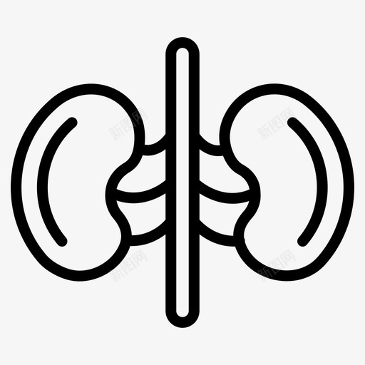 肾脏肾单位肾动脉svg_新图网 https://ixintu.com 肾脏 单位 动脉 膀胱 泌尿 泌尿系 系统 医疗