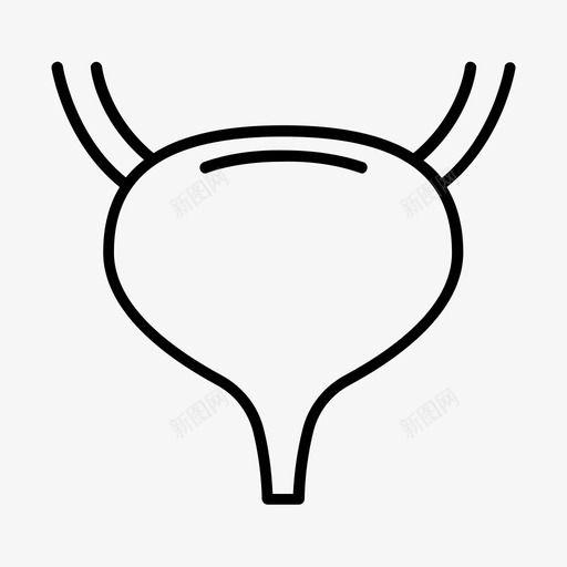 膀胱器官输尿管svg_新图网 https://ixintu.com 泌尿 膀胱 器官 输尿管 健康 医疗