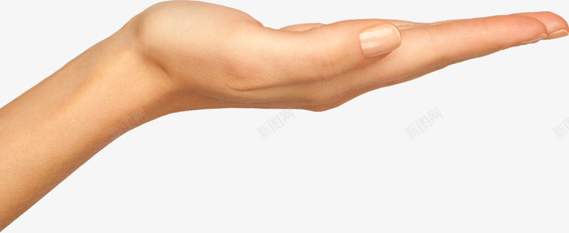 Hands hand image free手真人动作免扣参考png免抠素材_新图网 https://ixintu.com 真人 动作 免扣 参考