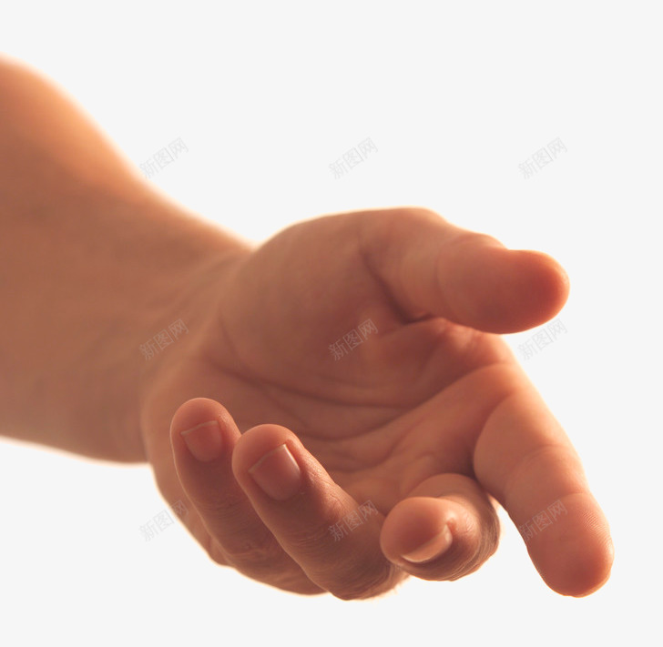 Hands hand image free手真人动作免扣参考png免抠素材_新图网 https://ixintu.com 真人 动作 免扣 参考