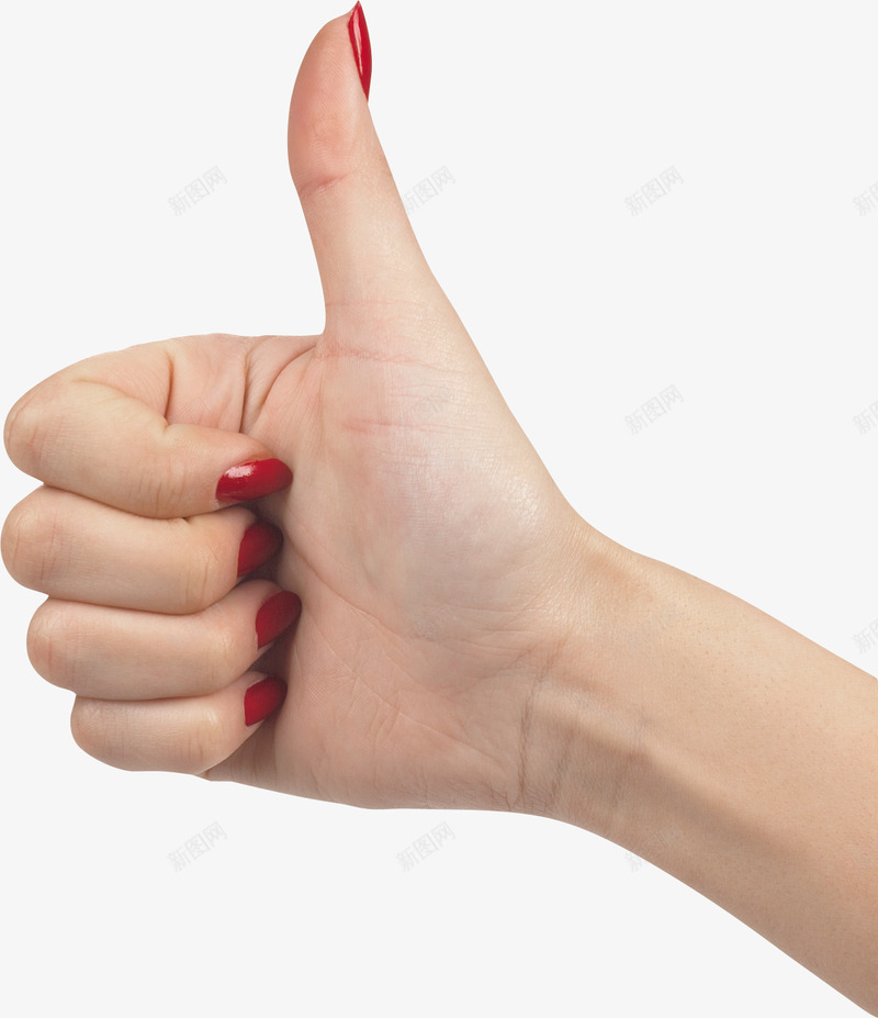 Like hands hands手真人动作免扣参考png免抠素材_新图网 https://ixintu.com 真人 动作 免扣 参考