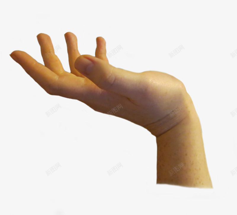 Hands hand image free手真人动作免扣参考png免抠素材_新图网 https://ixintu.com 真人 动作 免扣 参考