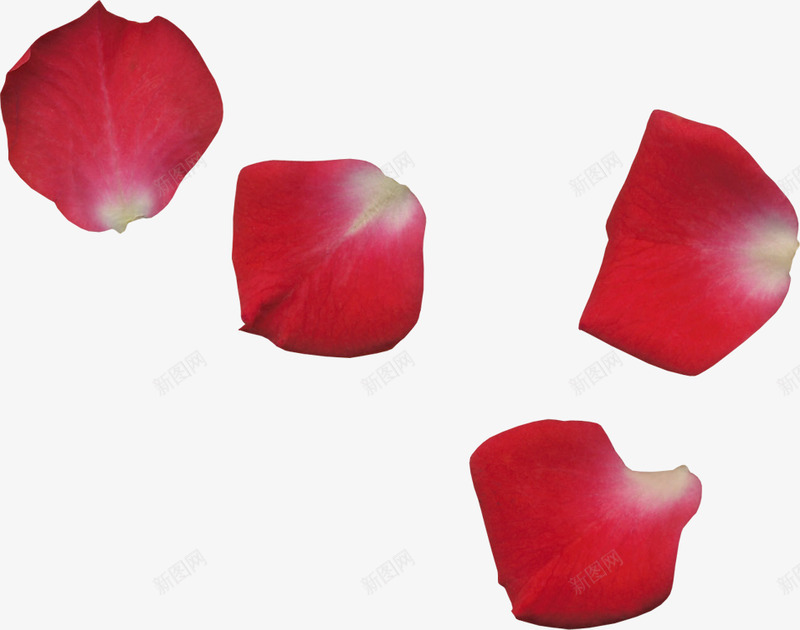 花瓣 玫瑰花瓣 樱花 桃花 飘落 飘洒 散落 情人节浪漫 前景 花瓣 点缀 前景 点技能 dianjinengla花瓣png免抠素材_新图网 https://ixintu.com 花瓣 前景 玫瑰 玫瑰花 樱花 桃花 飘落 飘洒 散落 情人节 浪漫